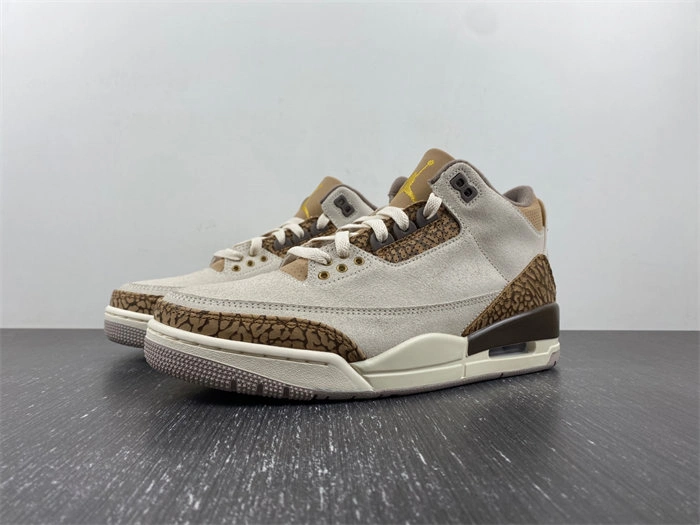 ModernLook Jordan 3 Retro Palomino CT8532- 3823