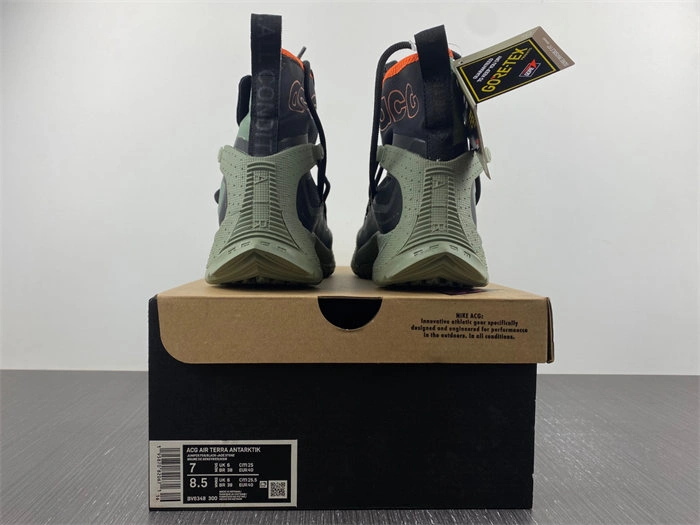 MultiPurpose Nike ACG Terra Antarktik GORE-TEX Juniper Fog BV6348- 5314