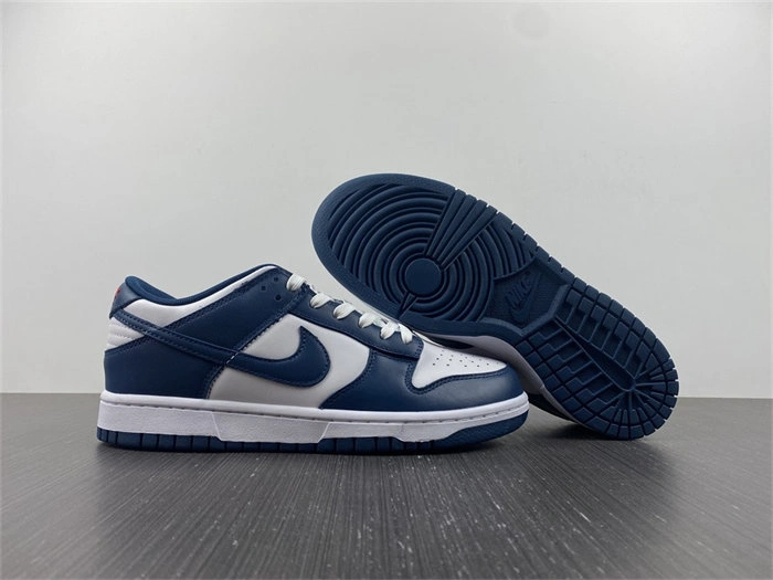 Nike Dunk Low Valerian Blue DD1391- Practical 4819